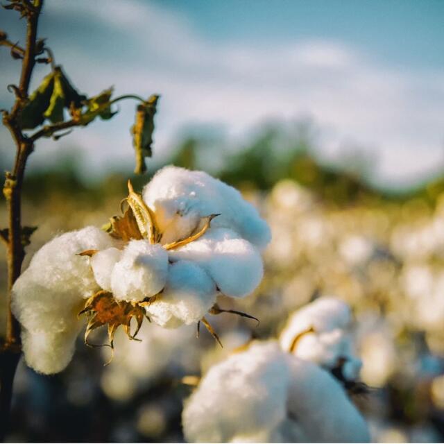 eco friendly t shirt printing 